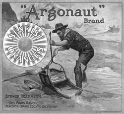 argonaut02