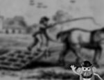 Potato Wilkie: The Scottish Homer